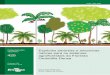 Espécies arbóreas e arbustivas nativas para os sistemas 