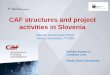 CAF structures and project activities in Slovenia