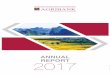 REPORT ANNUAL REPORT 2017 - Agribank
