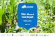 SDM: Musoni Final Report