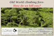 Old World climbing fern- How do we kill you?