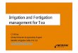 Irrigation and Fertigation management for Tea