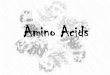 Amino Acids & Chemical Evolution of Proteins