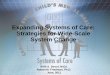 Expanding Systems of Care: Strategies for Wide-Scale 