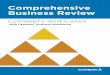Comprehensive Business Review