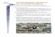 Ornithologischer Rundbrief für das Bodenseegebiet