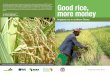 This leaflet was produced by the Agricultural Value Chain 
