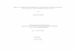 Hanzi, Concept and Computation: A Preliminary Survey of 