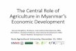 The Central Role of Agriculture in Myanmar’s Economic 