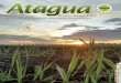 ATAGUA – Asociación de Técnicos Azucareros de Guatemala 
