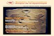 Boletín Informativo de Amigos de la Egiptología - BIAE 