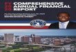 FY2020 Comprehensive Annual Financial Report
