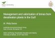 Management and valorization of brines from desalination 