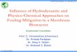 Influence of Hydrodynamic and Physico-Chemical Approaches 