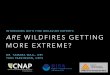 INTERVIEWS WITH FIRE BEHAVIOR EXPERTS ARE WILDFIRES 