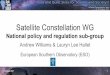 Satellite Constellation WG