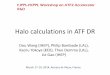 Halo calculations in ATF DR - ILC Agenda (Indico)