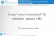 StrategicThinkingfor Sustainability(ST4S) methodology 