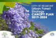 Canopy Plan 2019 - 2024 - City of Belmont