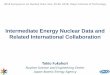 Intermediate Energy Nuclear Data and Related International 