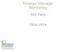 Energy Storage Workshop