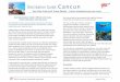 Cancun Travel Guide - TDR Demo Pages