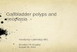 Gallbladder polyps and neoplasia - Department of Surgery at SUNY
