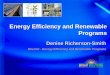 Energy Efficiency and Renewable Programs