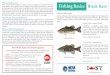 Fishing Basics Black Bass - NY Sea Grant | Welcome