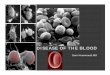 Disease of the blood - Sinoe Medical Association