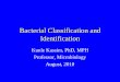 Bacterial Classification and Identification