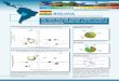BOLIVIA - World Bank Internet Error Page AutoRedirect