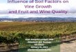 Influence of Soil Factors on Vine Growth and Fruit and Wine Quality