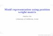Motif representation using position weight matrix