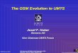 The GSM Evolution to UMTS
