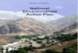 National Environmental Action Plan