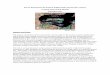 Survey Protocol for the Eastern Indigo Snake, Drymarchon couperi,