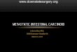 Metastatic intestinal carcinoid - Department of Surgery at SUNY
