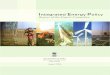 Integrated Energy Policy - Planning Commission