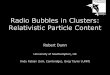 Radio Bubbles in Clusters: Relativistic Particle Content