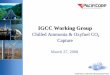 IGCC Working Group