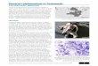 Visceral Leishmaniasis in Foxhounds -   - Get a Free