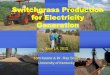 Switchgrass Production for Electricity Generation