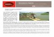 Emergency Appeal Bangladesh: Floods and Landslides - IFRC.org - IFRC