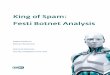 King of Spam: Festi Botnet Analysis - We Live Security