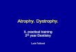 Atrophy. Dystrophy