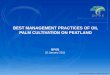 BEST MANAGEMENT PRACTICES OF OIL PALM CULTIVATION ON PEATLAND