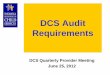 DCS Audit Requirements