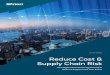 WHITE PAPER Reduce Cost & Supply Chain Risk