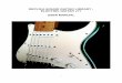 RSGL 02 v71 Electric Guitar User Guide